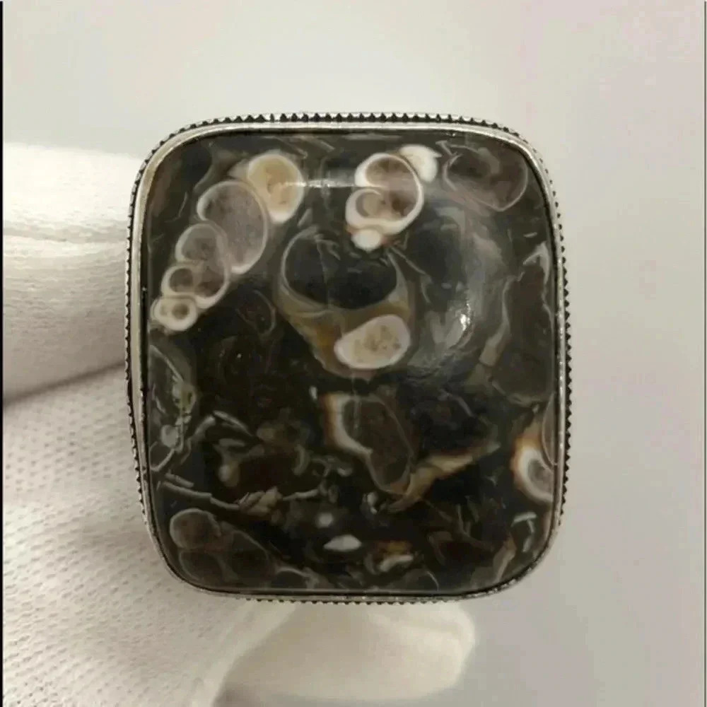 SIZE 8 Turritella Fossil Square 925 Sterling Silver Ring NWT